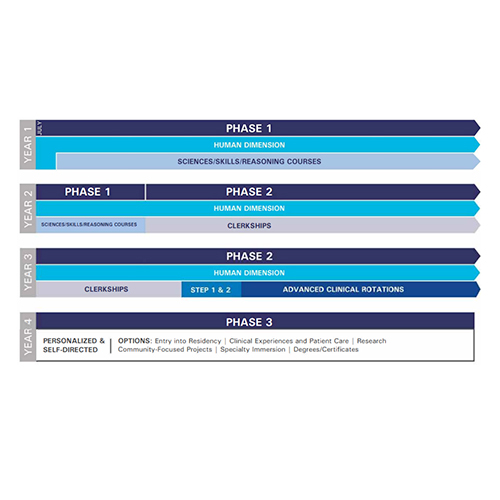 Curriculum Schematic