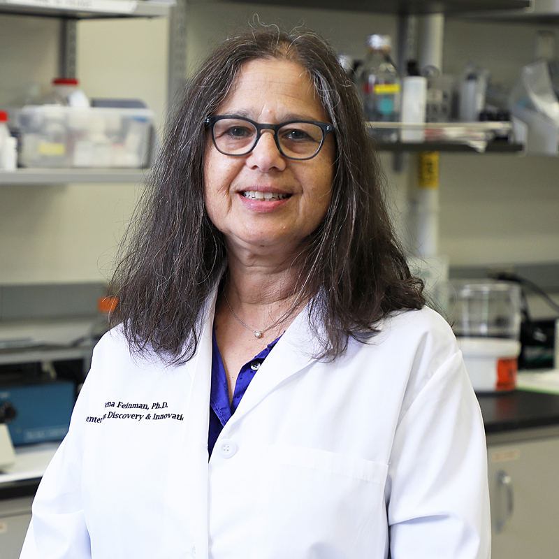 Rena Feinman, Ph.D.