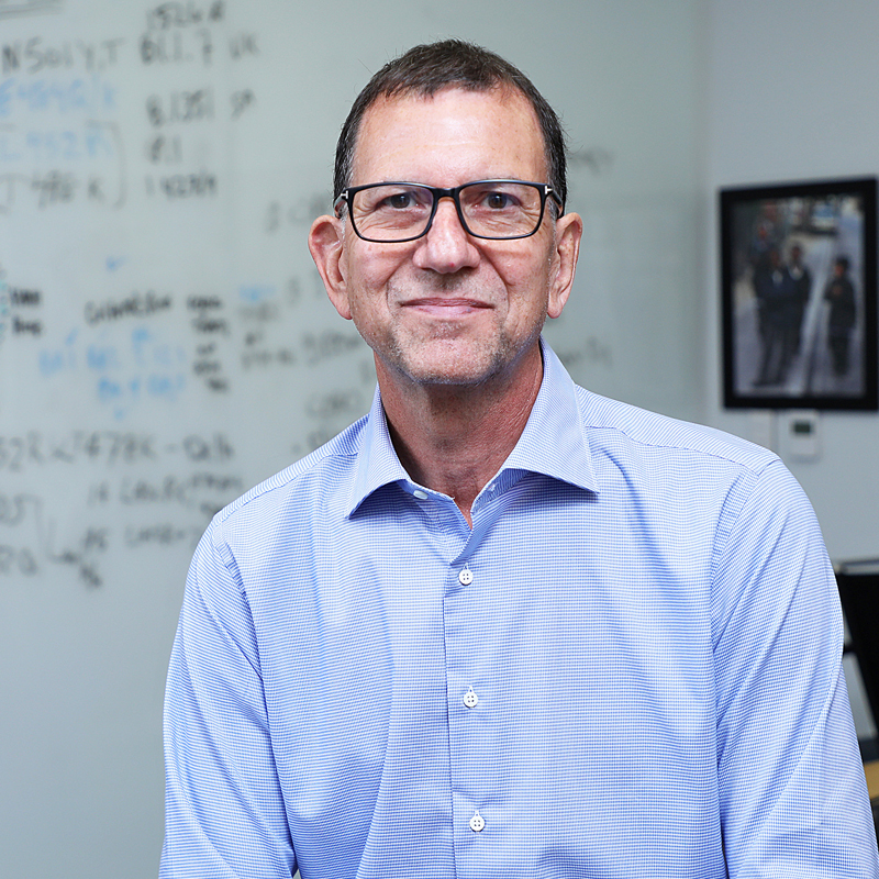 David S. Perlin, Ph.D.