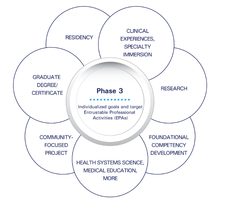 Phase 3